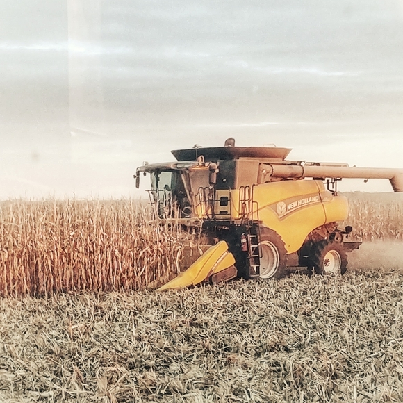 Meet your Posher, Karla - Picture 3 of 11